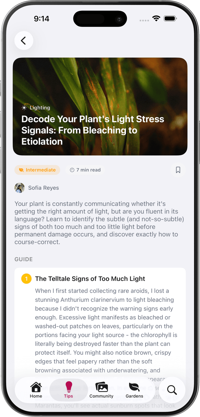 Care Guides app screenshot