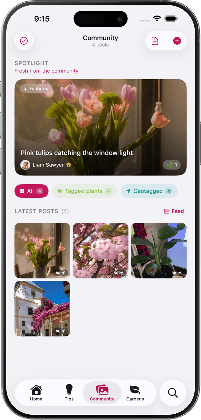 BotanicBase community screen