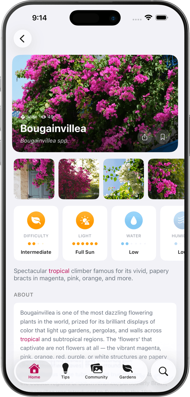 BotanicBase plant profile screen